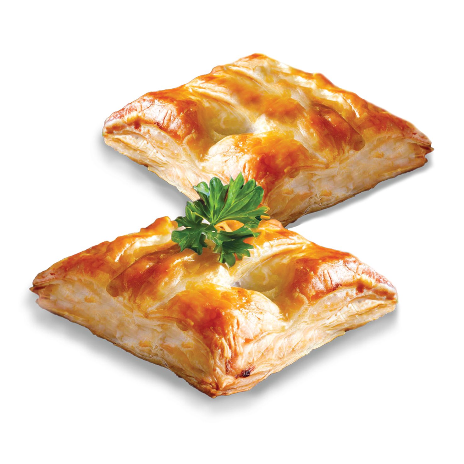 clth32s6l0ip501macjz7ha94_ChickenPie4.jpg