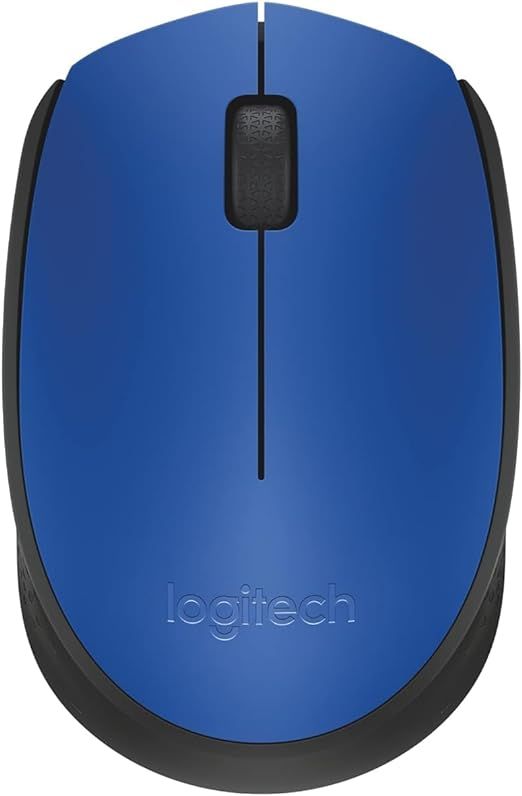 Logitech-Mouse-WL-M171