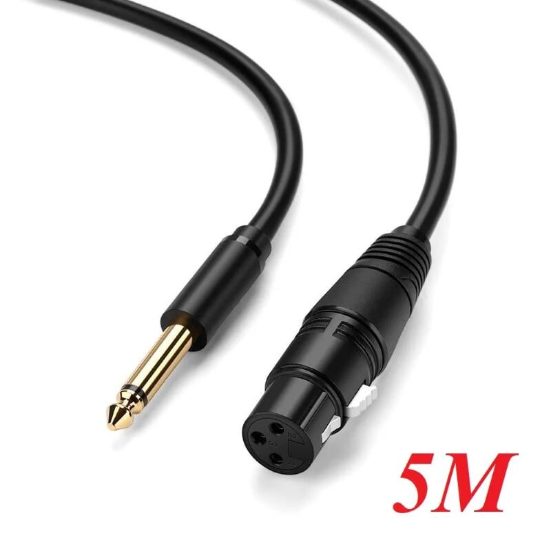 UGREEN 6.5mm to Cannon Female AV Cable 5m (Black) (20721)