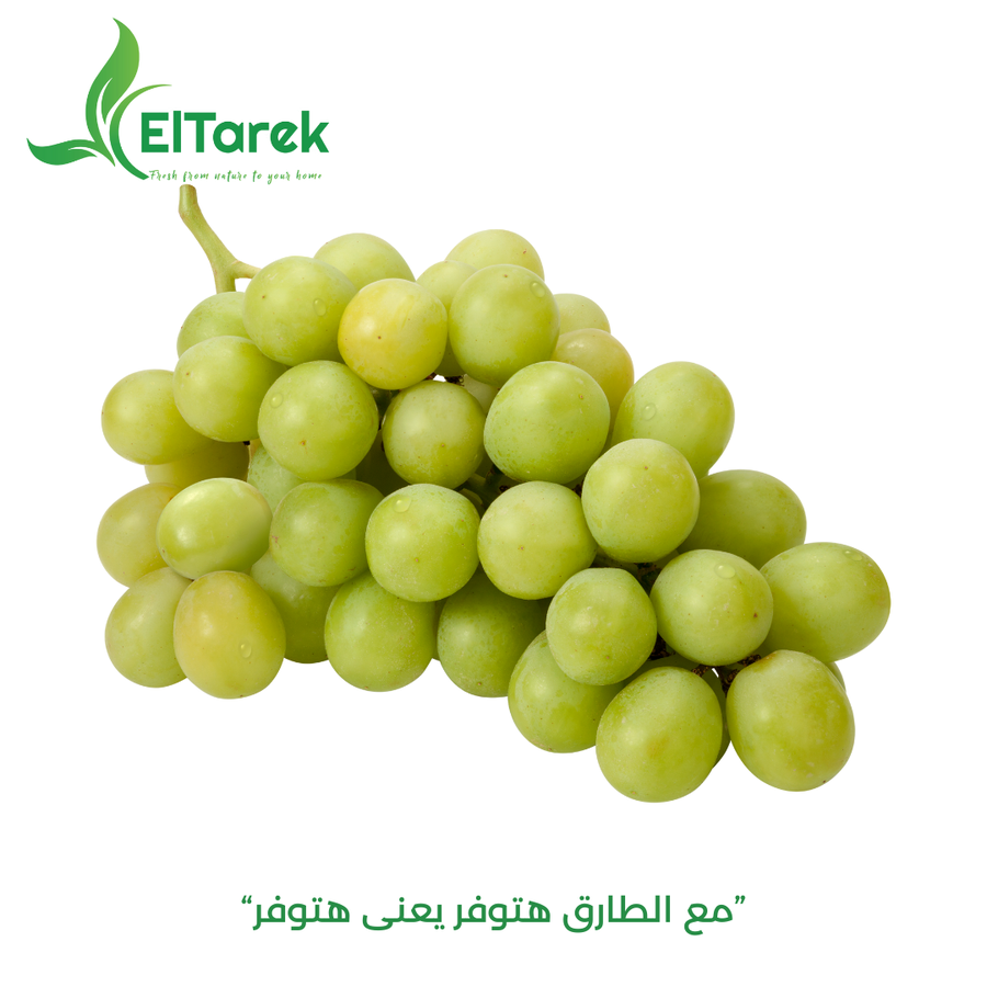 cmbb2zj6c04qd01b19rs7189h_1745499246846864670.png