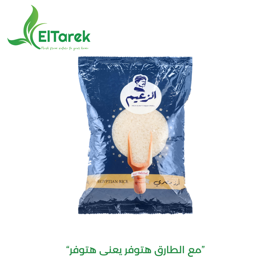 cmbb358zz04r301b180ku69ke_1745601466566904102.png