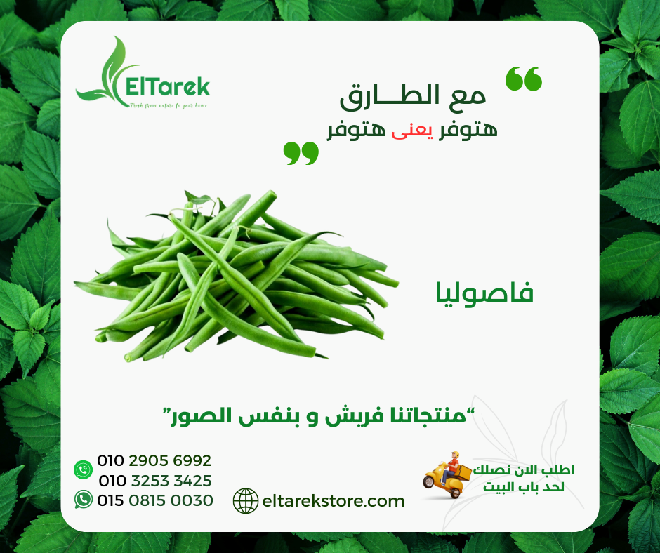 cmbb3orbp053m01b19sjk2ein_1739728409210812872.png