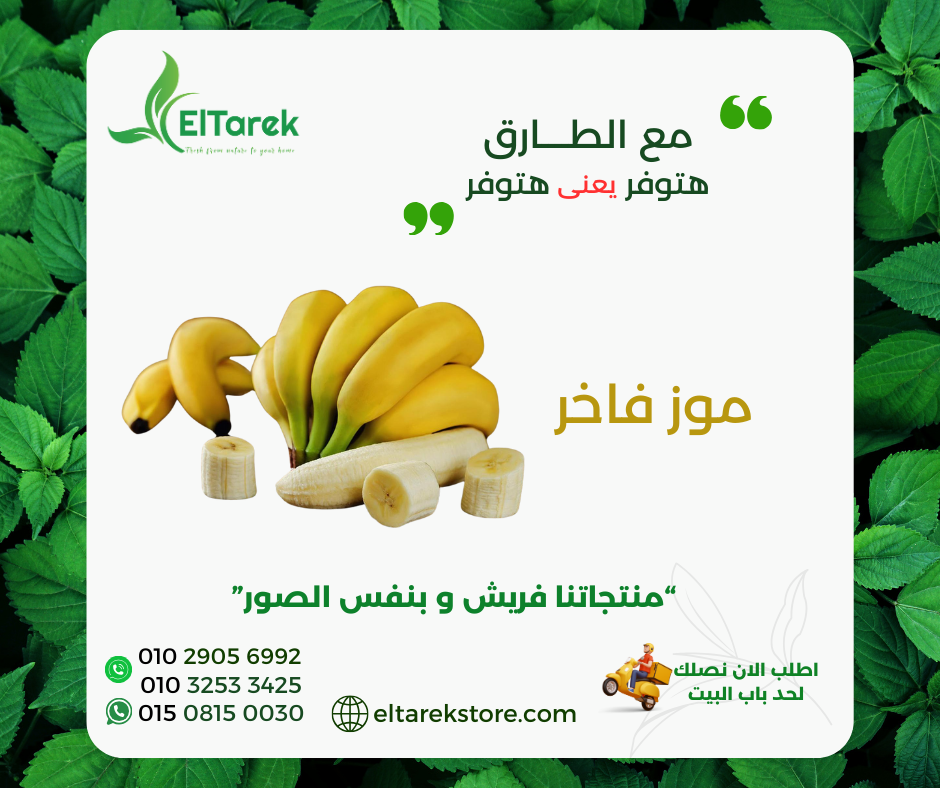 cmbb3osl8053o01b170977stu_1739728237079849236.png