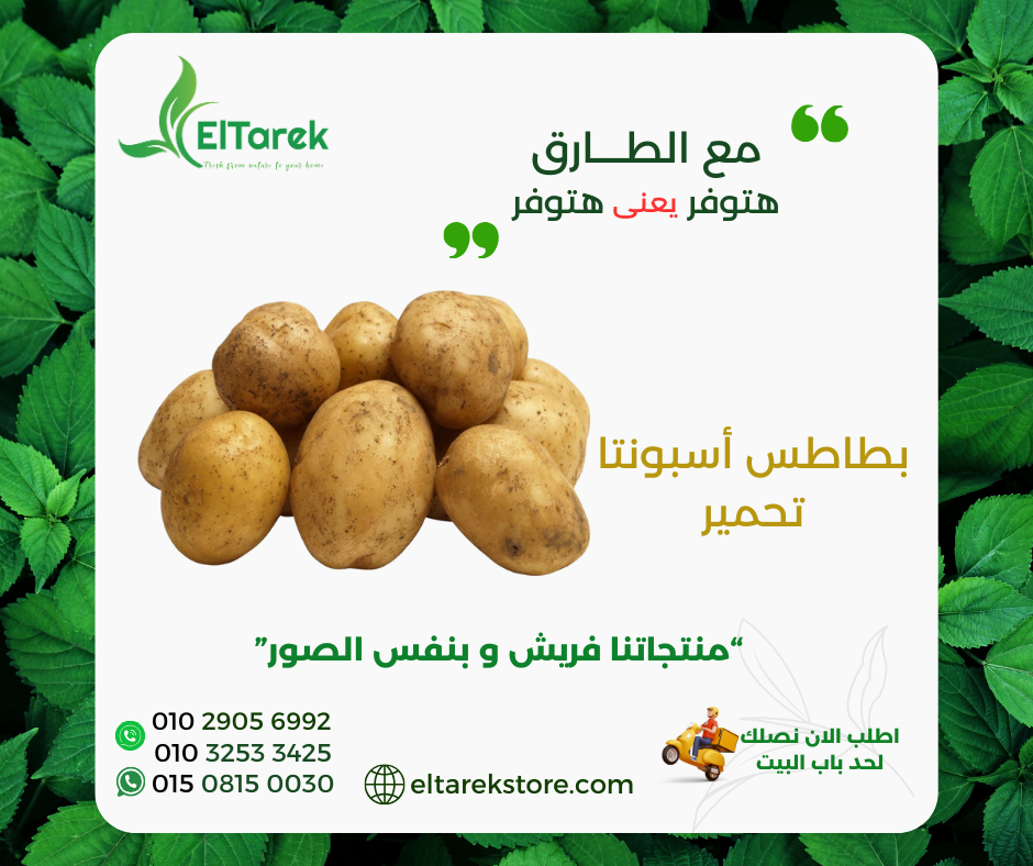 cmbb3p1gc053z01b1da493qpd_1739729183433442677.png