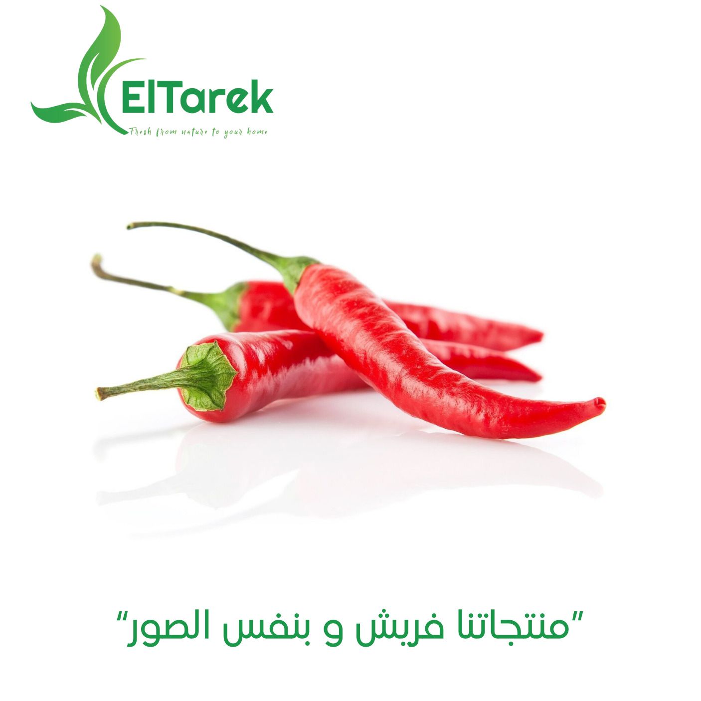 cmbdx0weh0ei801ljfoe06f9i_1738932362849961943_D9_81_D9_84_D9_81_D9_84__D8_A7_D8_AD_D9_85_D8_B1__D8_B4_D8_B7_D8_A9.jpg