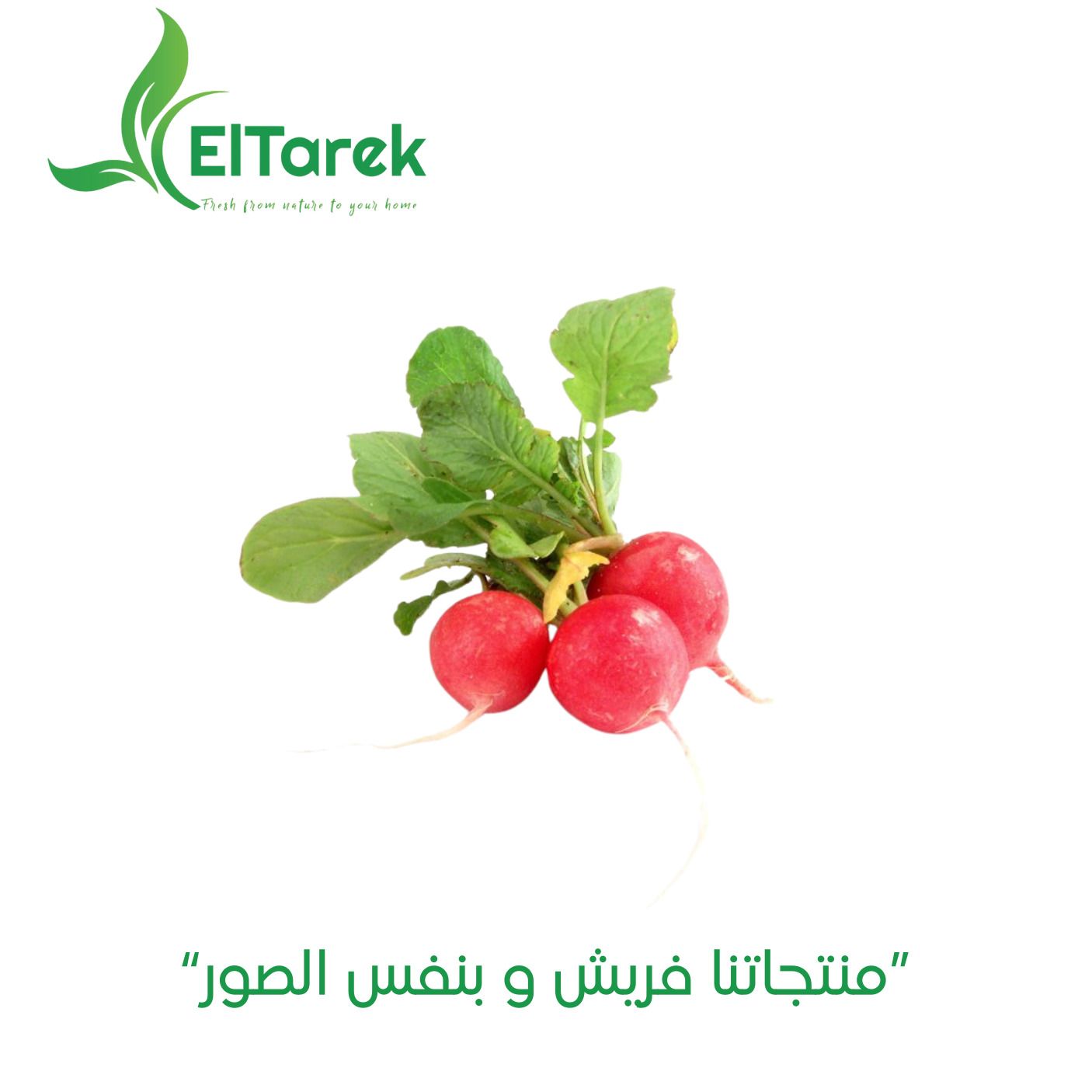 cmbdxz41u0eke01ljb9arcy8v_1738932595801654050_D9_81_D8_AC_D9_84__D8_A7_D8_AD_D9_85_D8_B1.jpg