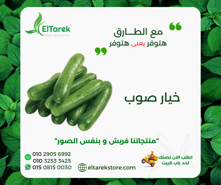 cmbetoe260fo101ljh51x40aw__D8_A7_D9_84_D8_B9_D8_B1_D9_88_D8_B6__16_.png