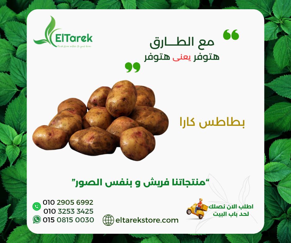 cmc0ktjoc095c01ht0b00426q__D8_A7_D9_84_D8_B9_D8_B1_D9_88_D8_B6__3_.png