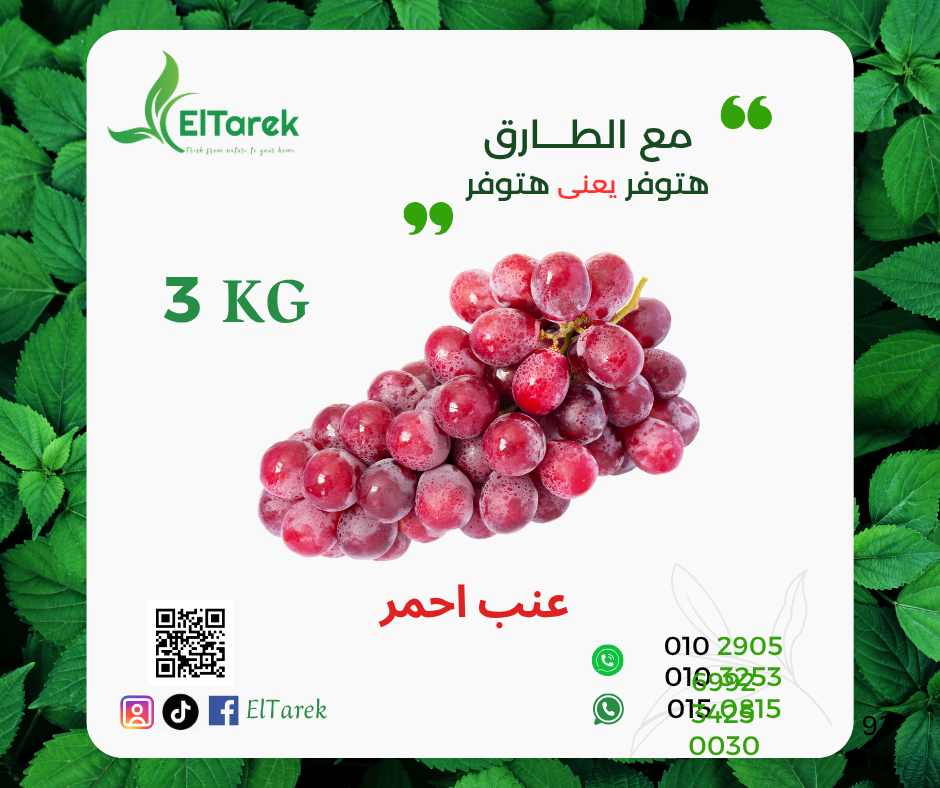 cmc3a9qi101yw01k99w4i0xju__D8_A8_D8_A7_D9_85_D9_8A_D8_A9__2_.png