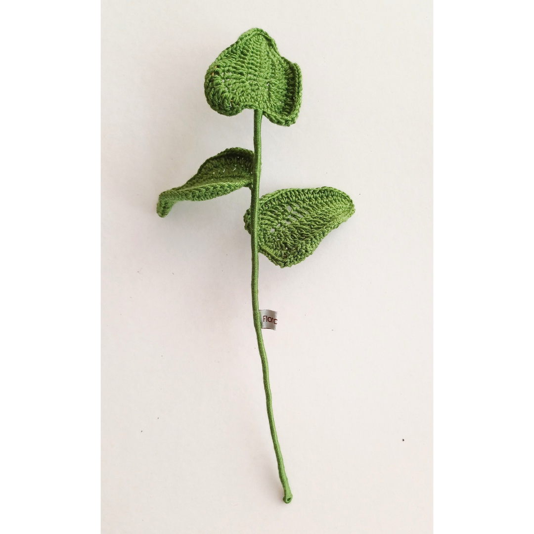 cmdvezwsz2gky01ks31y3c34j_Sun_Greenery.png