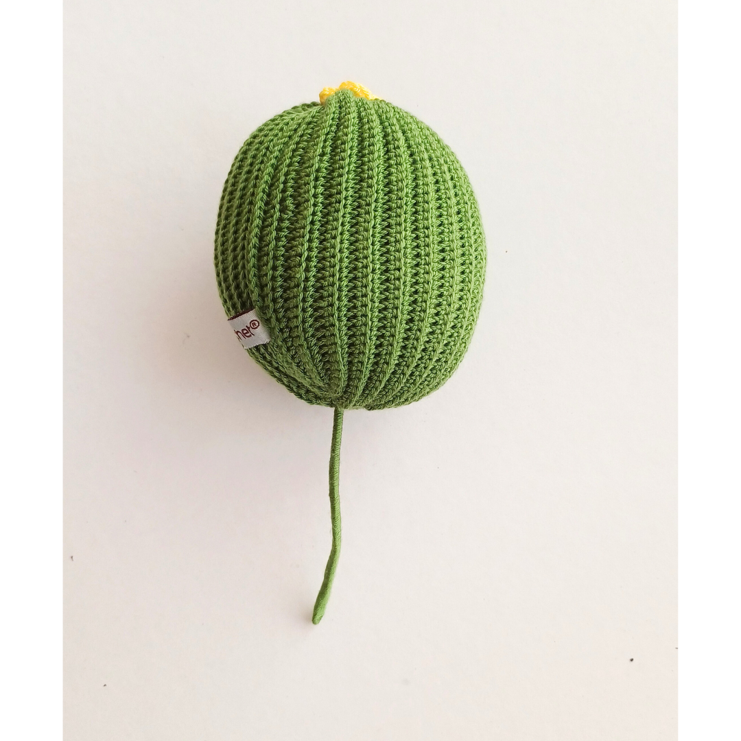 cmdvf2bsb2gl001ks0gf5hsqm_Round_Cactus.png