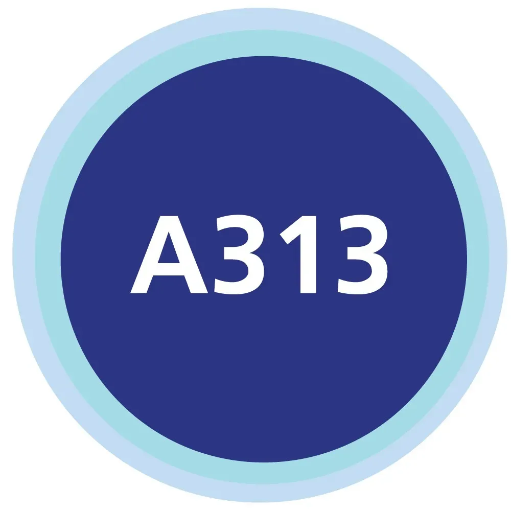 A313